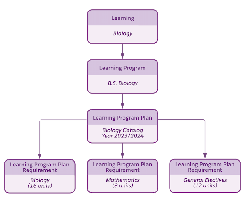 Model Program Offerings